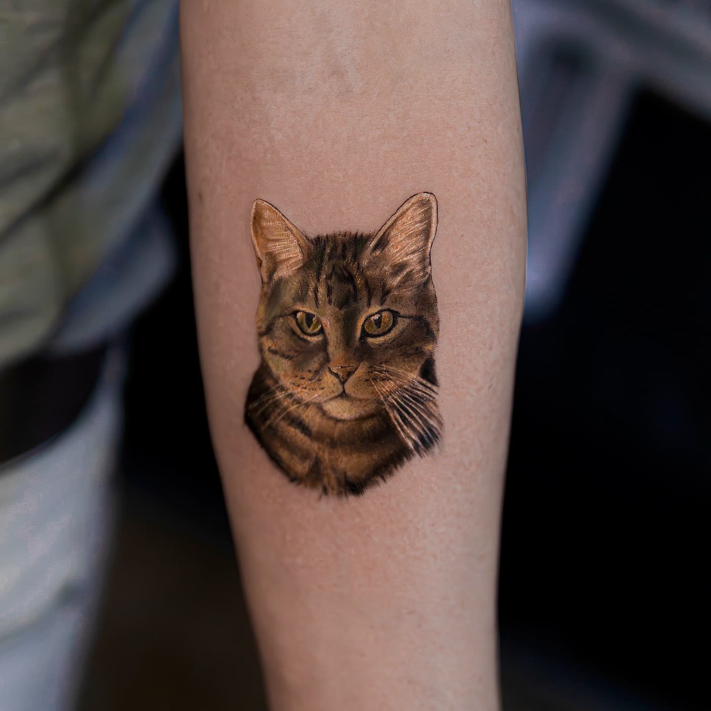 Berkay Uzun — Color Work tattoo, Ink People Istanbul