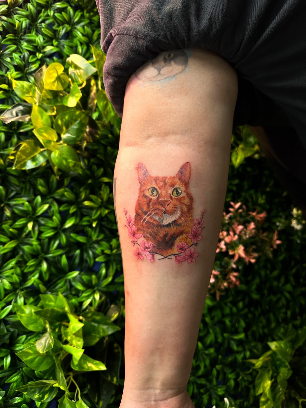 Berkay Uzun — color tattoo, Ink People Istanbul